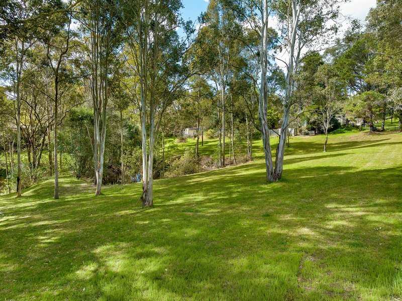 Photo - 195 Bobs Range Road, Orangeville NSW 2570 - Image 20