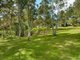 Photo - 195 Bobs Range Road, Orangeville NSW 2570 - Image 20