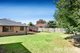 Photo - 195 Brandon Park Drive, Wheelers Hill VIC 3150 - Image 9