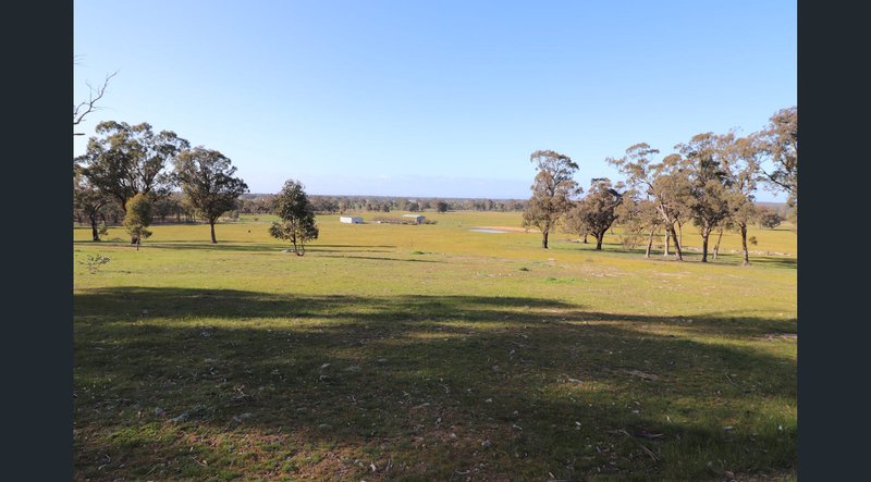 Photo - 195 Camp Road, Murchison VIC 3610 - Image 1