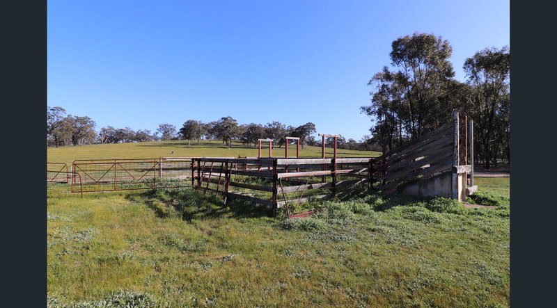 Photo - 195 Camp Road, Murchison VIC 3610 - Image 3