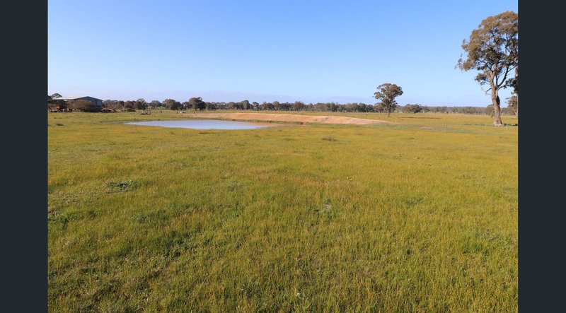 Photo - 195 Camp Road, Murchison VIC 3610 - Image 4