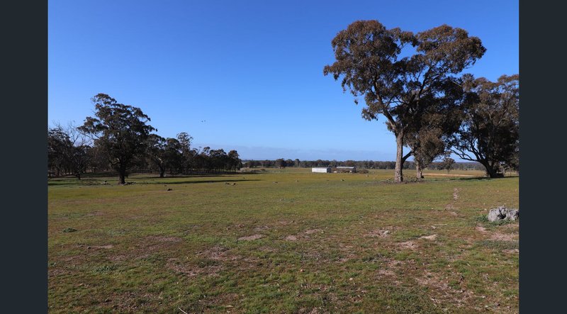 Photo - 195 Camp Road, Murchison VIC 3610 - Image 7