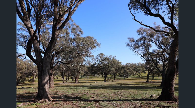 Photo - 195 Camp Road, Murchison VIC 3610 - Image 8
