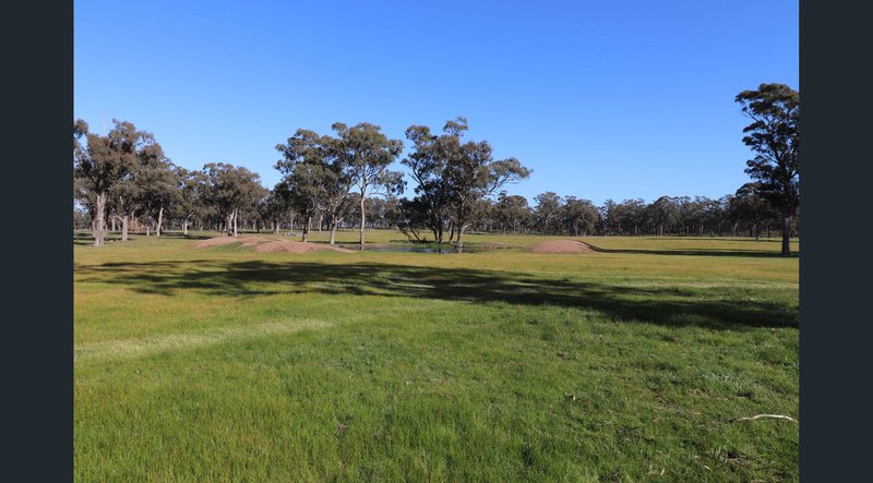 Photo - 195 Camp Road, Murchison VIC 3610 - Image 9