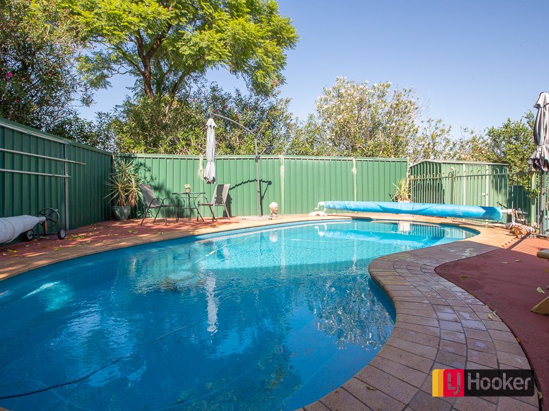 Photo - 195 Carthage Street, East Tamworth NSW 2340 - Image 16