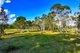 Photo - 195 King Street, Rossmore NSW 2557 - Image 13