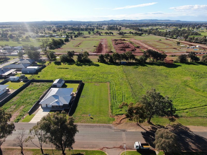 Photo - 195 Kitchener Road, Temora NSW 2666 - Image 2