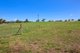 Photo - 195 New England Gully Road, Moonbi NSW 2353 - Image 1