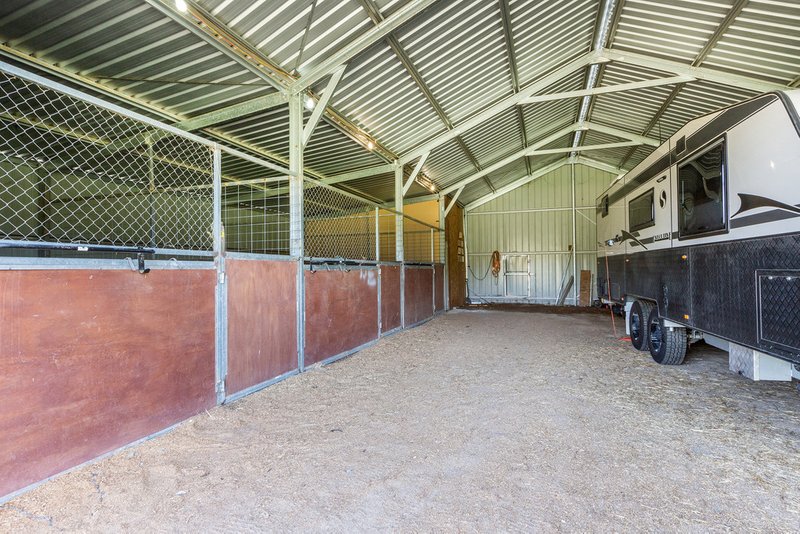 Photo - 195 New England Gully Road, Moonbi NSW 2353 - Image 11