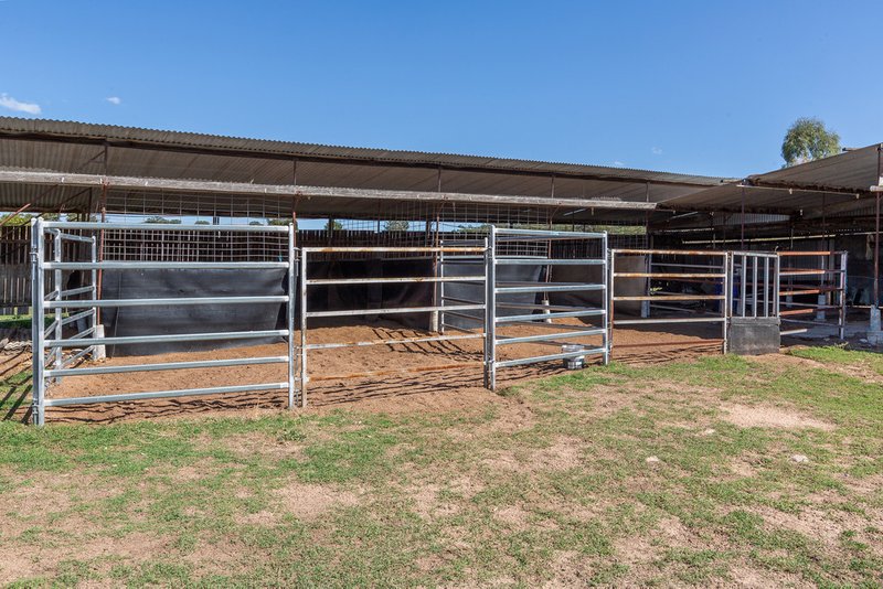 Photo - 195 New England Gully Road, Moonbi NSW 2353 - Image 12