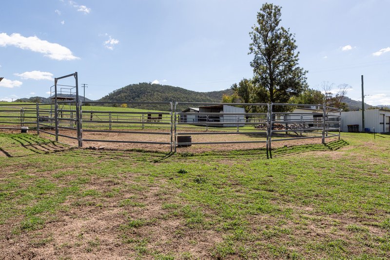 Photo - 195 New England Gully Road, Moonbi NSW 2353 - Image 13