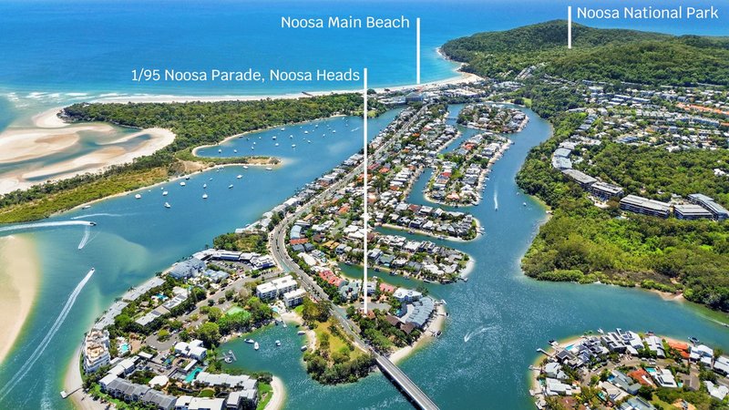 Photo - 1/95 Noosa Parade, Noosa Heads QLD 4567 - Image 2