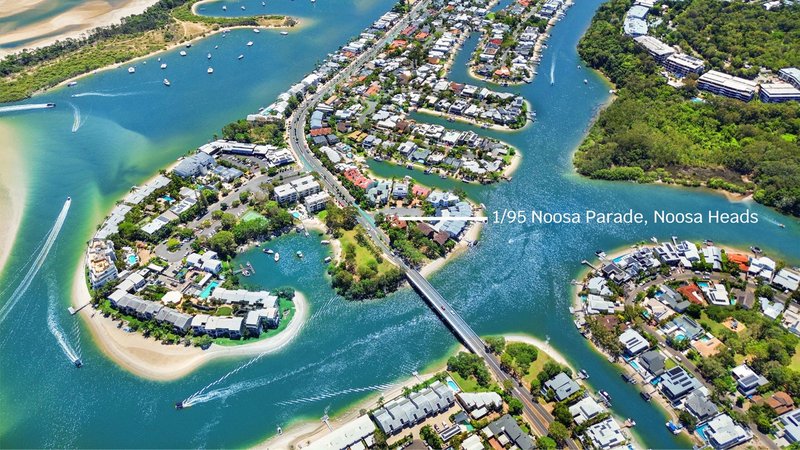 Photo - 1/95 Noosa Parade, Noosa Heads QLD 4567 - Image 17