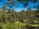 Photo - 195 Top Forestry Road, Ridgewood QLD 4563 - Image 11