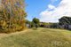 Photo - 195 Wynyard Street, Tumut NSW 2720 - Image 20