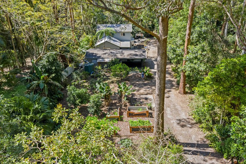 Photo - 1957 Springbrook Road, Springbrook QLD 4213 - Image 6
