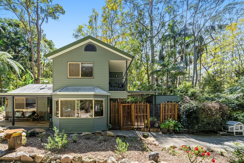 Photo - 1957 Springbrook Road, Springbrook QLD 4213 - Image 7