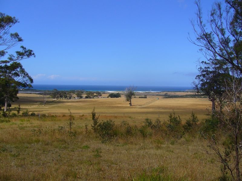 Photo - 19595 Tasman Highway, Seymour TAS 7215 - Image 10