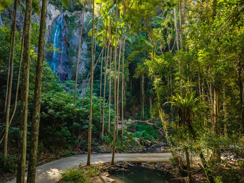 Photo - 196-276 Kaiser Road, Tamborine Mountain QLD 4272 - Image 13