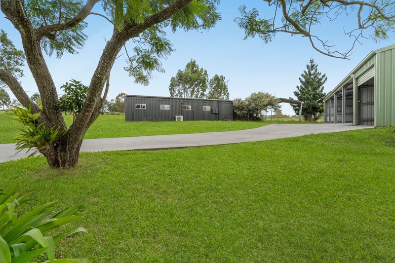 Photo - 196 Biddaddaba Road, Boyland QLD 4275 - Image 10