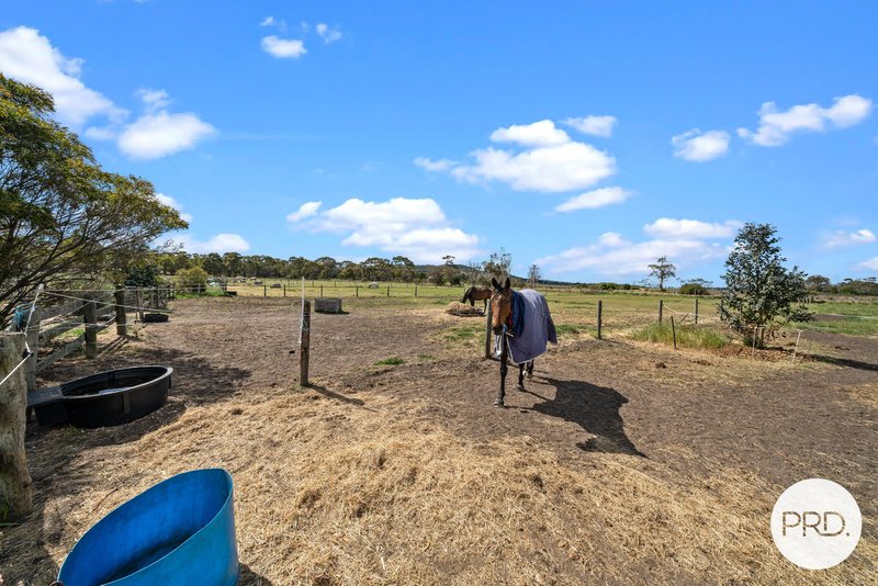 Photo - 196 Forest Hill Road, Sandford TAS 7020 - Image 6