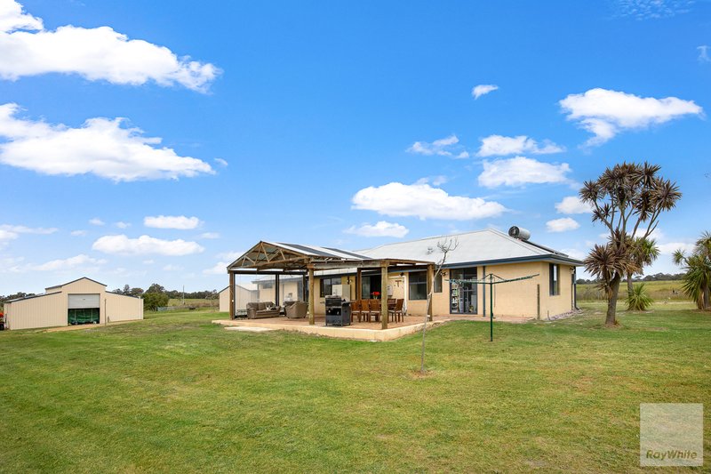 Photo - 196 Jackson Road, Narrikup WA 6326 - Image 23