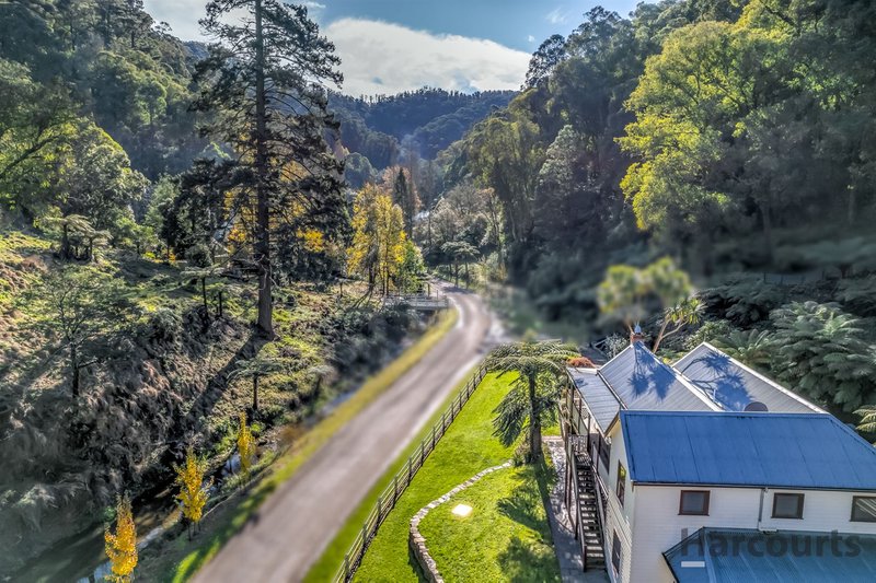 Photo - 196 Main Road, Walhalla VIC 3825 - Image 15