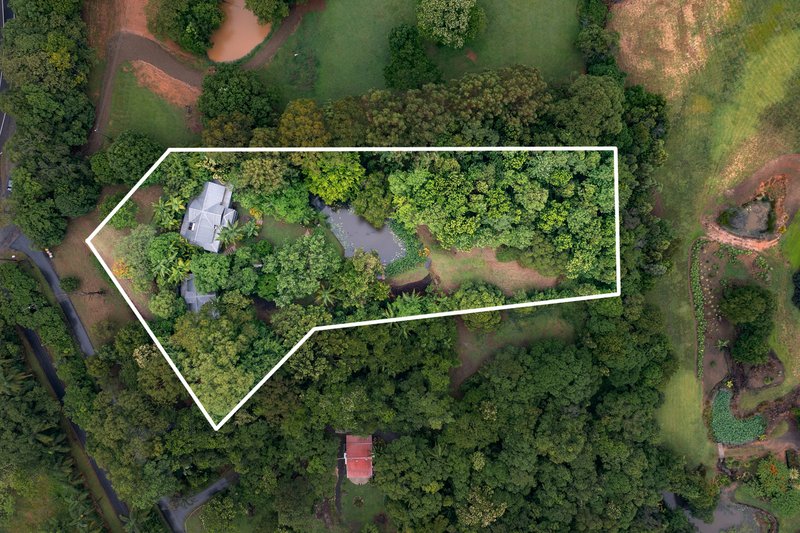 Photo - 196 Nandroya Road, Cooroy QLD 4563 - Image 21