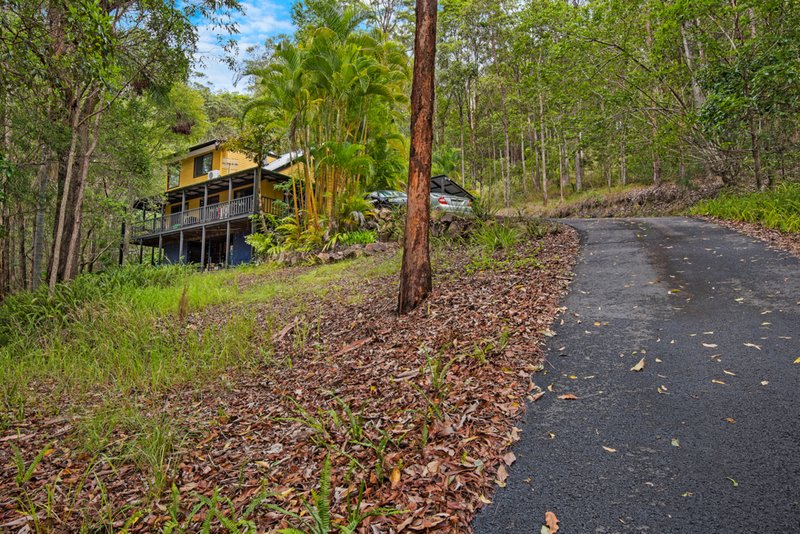 196 Wappa Falls Road, Yandina QLD 4561