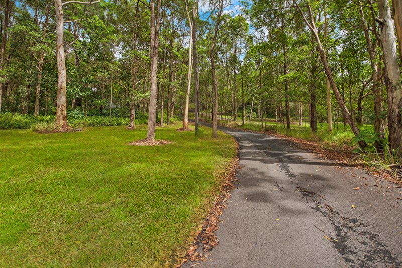 Photo - 196 Wappa Falls Road, Yandina QLD 4561 - Image 3