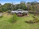 Photo - 1968 Beechmont Road, Beechmont QLD 4211 - Image 20