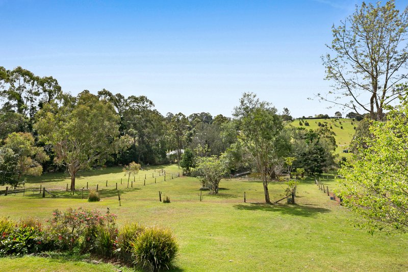 Photo - 1968 Beechmont Road, Beechmont QLD 4211 - Image 22