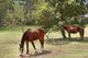 Photo - 1968 Beechmont Road, Beechmont QLD 4211 - Image 23