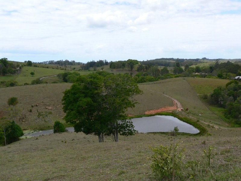 Photo - 197 Black Pinch Road, Cootharaba QLD 4565 - Image 11