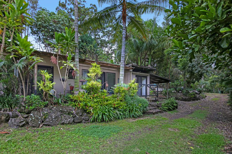 Photo - 197 Perrins Road, Eudlo QLD 4554 - Image 18