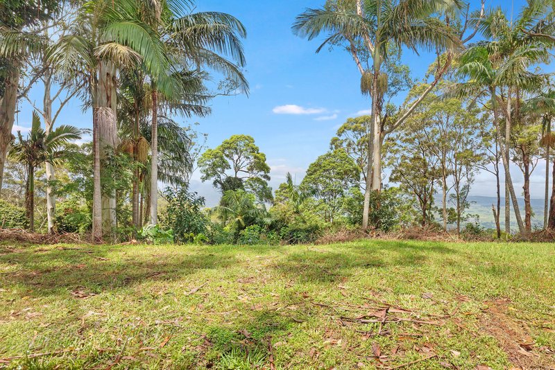 Photo - 198-200 Beacon Road, Tamborine Mountain QLD 4272 - Image 4