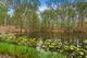 Photo - 198 Aitcheson Road, Kobble Creek QLD 4520 - Image 3