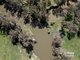 Photo - 198 Kelvin Road, Gunnedah NSW 2380 - Image 11