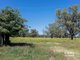 Photo - 198 Kelvin Road, Gunnedah NSW 2380 - Image 13