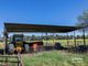 Photo - 198 Kelvin Road, Gunnedah NSW 2380 - Image 15