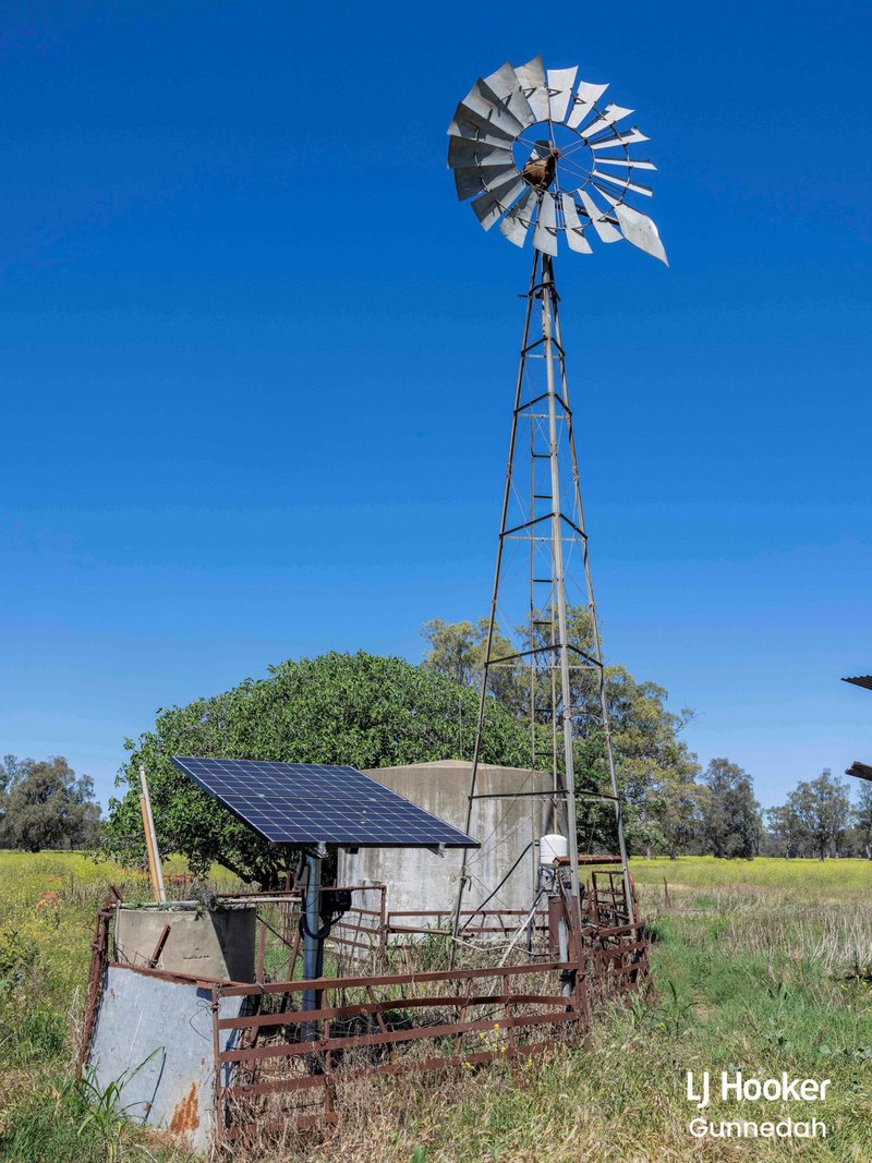 Photo - 198 Kelvin Road, Gunnedah NSW 2380 - Image 16