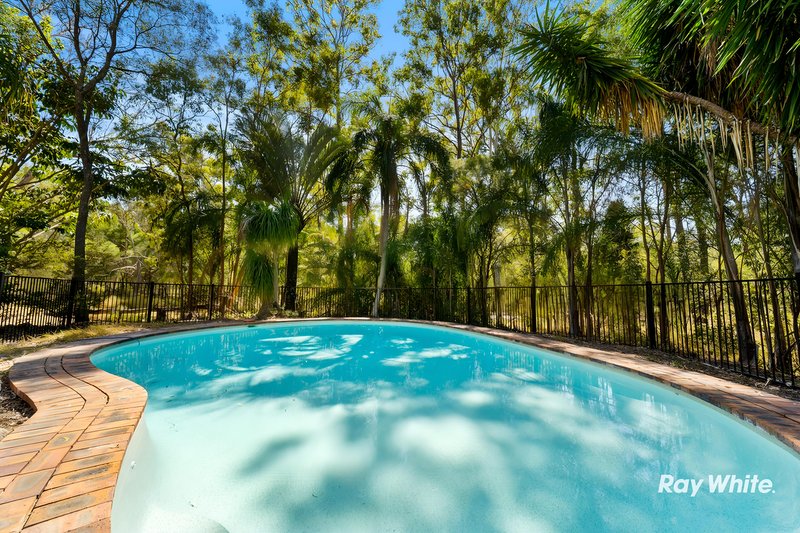 Photo - 199-205 Sharton Avenue, Buccan QLD 4207 - Image 12