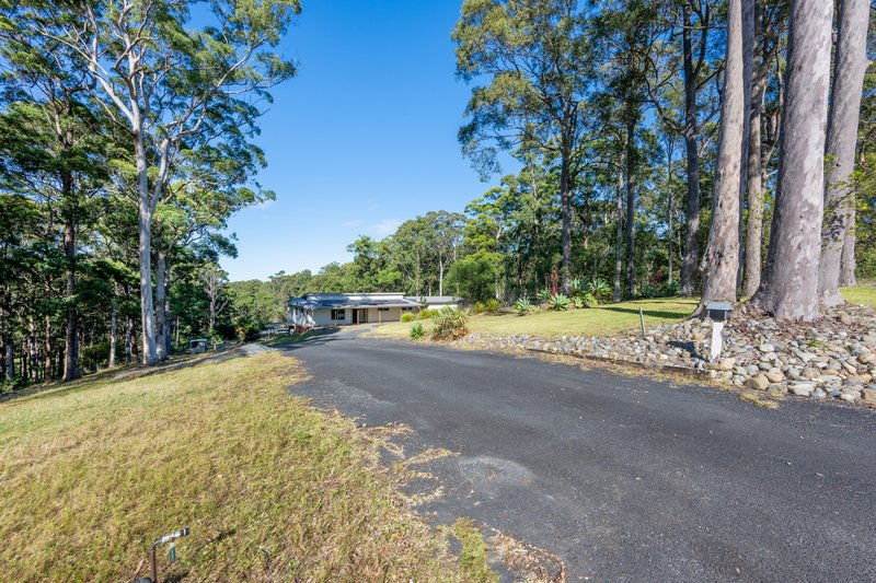 Photo - 199 Bark Hut Road, Woolgoolga NSW 2456 - Image 21