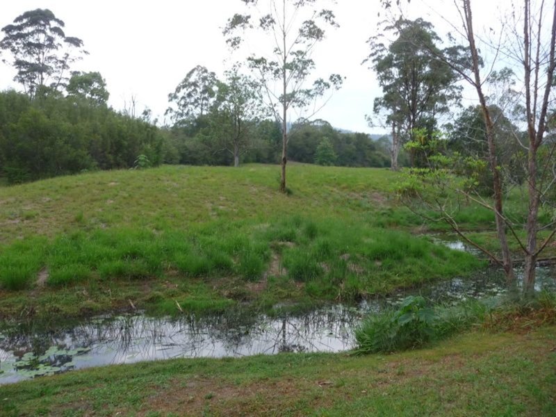 Photo - 199 Deep Creek Road, Hannam Vale NSW 2443 - Image 15