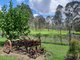 Photo - 199 Duckpond Road, Moolboolaman QLD 4671 - Image 23