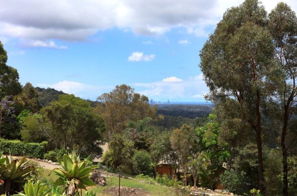 Photo - 199 Little Nerang Road, Mudgeeraba QLD 4213 - Image 8