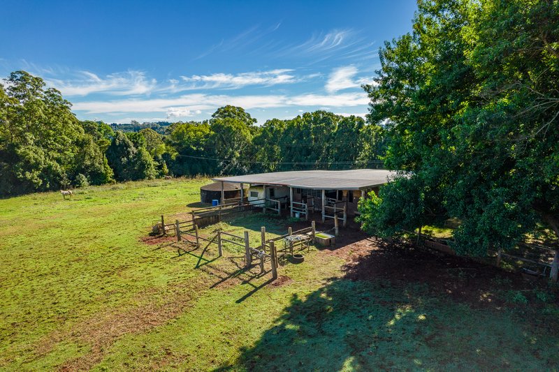 Photo - 199 Nashua Road, Fernleigh NSW 2479 - Image 4