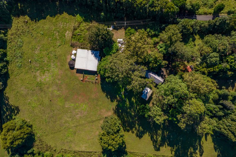 Photo - 199 Nashua Road, Fernleigh NSW 2479 - Image 7