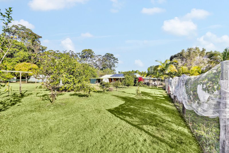 Photo - 199 Sanctuary Hills Road, Takura QLD 4655 - Image 23